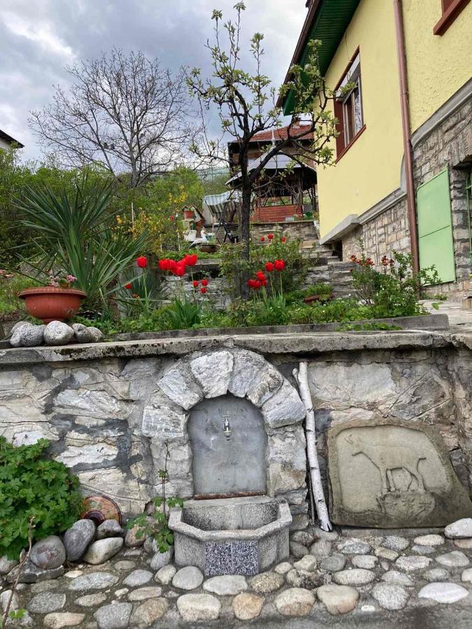 Vila Venera Βέλινγκραντ Εξωτερικό φωτογραφία