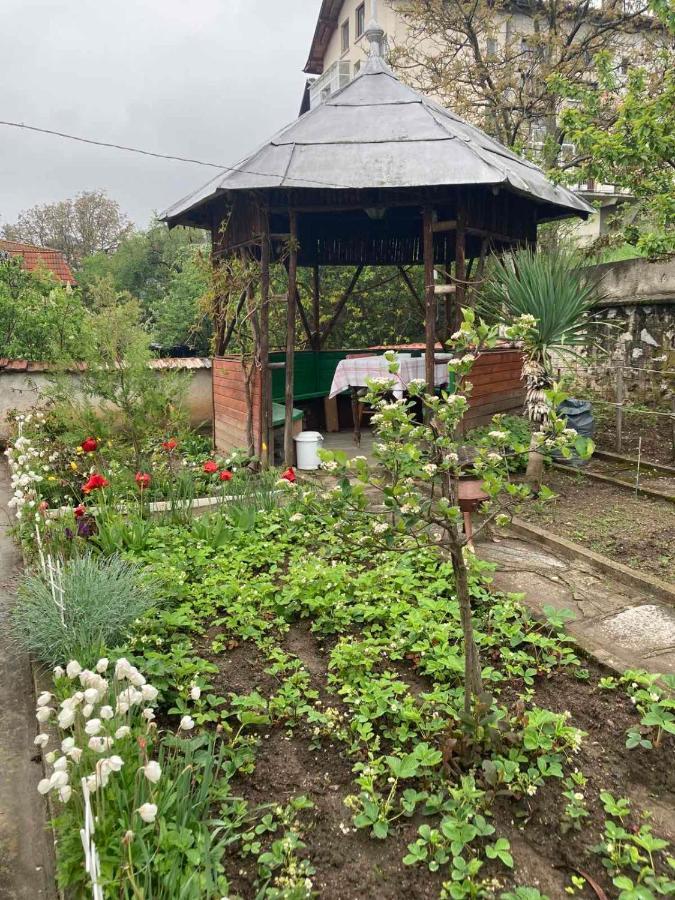 Vila Venera Βέλινγκραντ Εξωτερικό φωτογραφία
