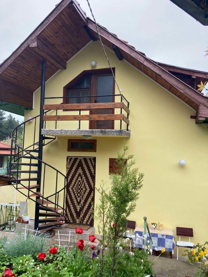 Vila Venera Βέλινγκραντ Εξωτερικό φωτογραφία